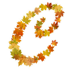 letter of  autumn maple leaves
