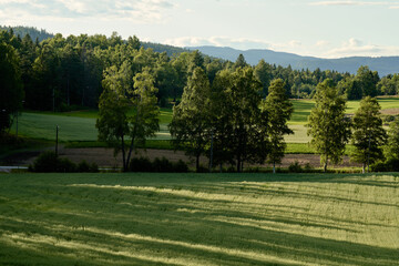 Rural countryside of Oslo.