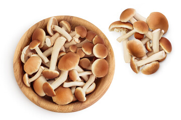 honey fungus mushrooms in wooden bowl isolated on white background with clipping path and full depth of field. Top view. Flat lay.
