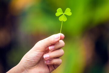 Hold the clover in your hand