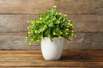 Artificial plant in white flower pot on wooden table