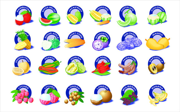 set of tropical fruits, Thai fruits