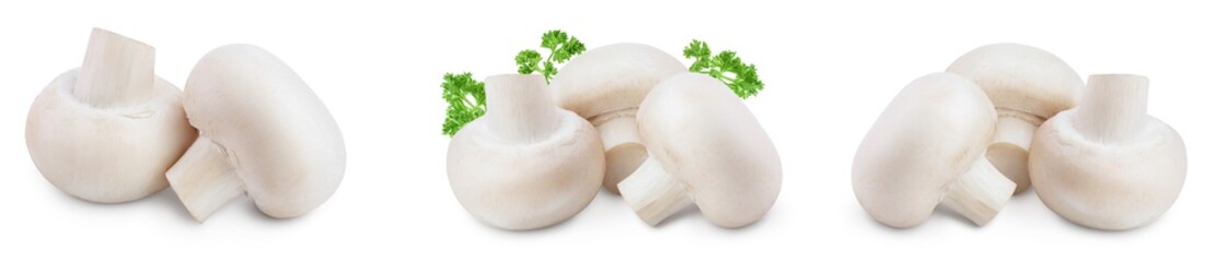 Fresh mushrooms champignon isolated on white background with clipping path and full depth of field. Set or collection
