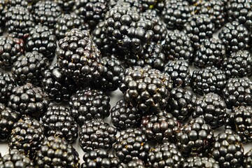 Fresh blackberries, vitamins