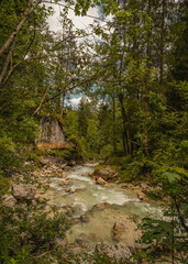 Deutschland Bayern , Oberbayern , Berchtesgadener Land , Landschaft
