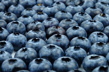 Fresh blueberries, vitamins