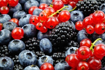 Fresh blueberries, blackberries and red currants, vitamins