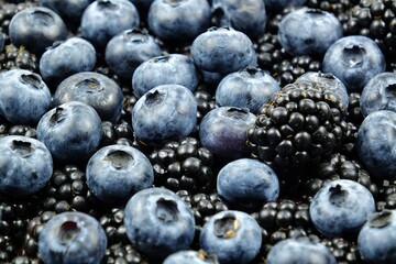 Fresh blueberries and blackberries, vitamins