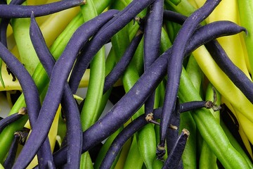 Fresh green beans of different colors