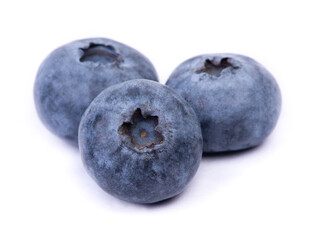 Group of blueberry isolated