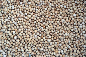 dried cherry seeds, background