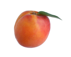 Delicious fresh ripe apricot isolated on white