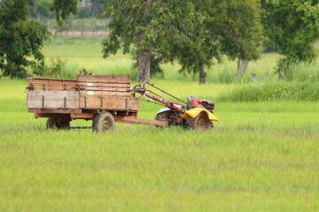 Obraz premium tractor in field
