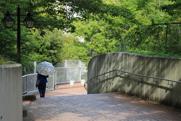 住宅街の通路(日本の夏)