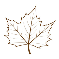 isolated autumn leaf outline drawing vector illustration EPS10