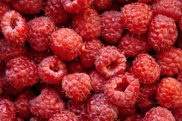 Red ripe raspberry, tasty berries. Texture and pattern background.