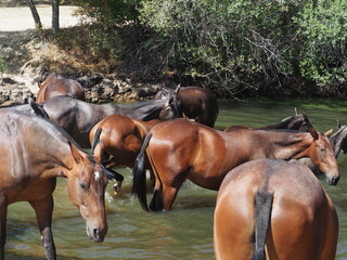 Obraz premium OLYMPUS DIGITAL CAMERA