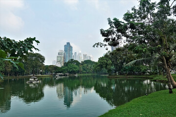 Fototapeta premium Summer day in the Bangkok park. Boats float on the quiet lake. Green grass and palm trees on the shore. Silhouettes of skyscrapers against the clear sky. Reflection in water. Thailand. Lumpini park.