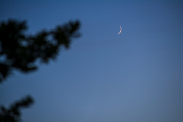 Crescent moon setting