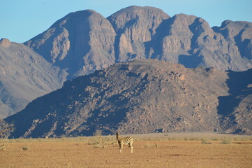 Road tripping through the Namibian Desert