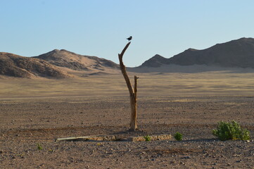 Road tripping through the Namibian Desert