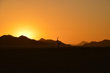 Road tripping through the Namibian Desert