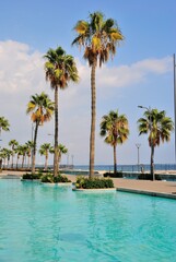 View of Limassol promenade with palm trees on a beautiful sunny day in Cyprus