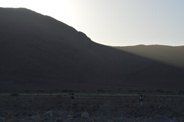 Road tripping through the Namibian Desert