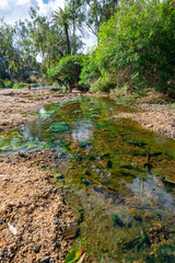 温泉の湧く川　インノット