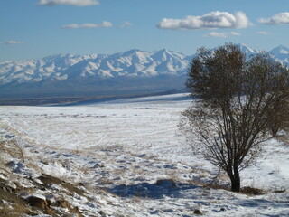 winter landscape in the mountains