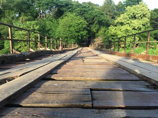 Fototapeta premium wooden bridge in the forest