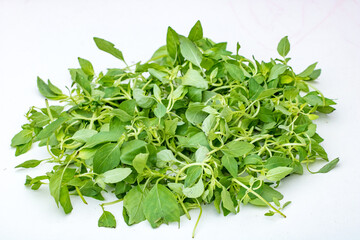 Obraz premium Chinese spice with fresh Herba schizonepeta