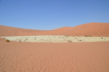 The red sand dunes of Sossusvlei in the Namib Desert, Namibia
