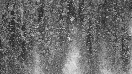 
Building wall concrete surface. Crack.
Background image for web design.
