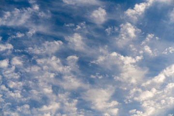 White clouds all over the sky with a blue background of daylight sky. Natural composition of the sky. Design element, background.
