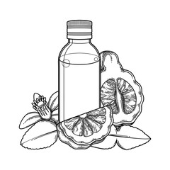 Graphic oil bottle surrounded by bergamot fruits, leaves and flower