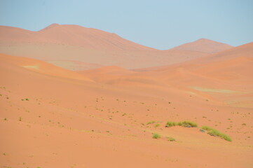 Fototapeta na wymiar The red sand dunes of the Namib Desert around Sossusvlei, Namibia