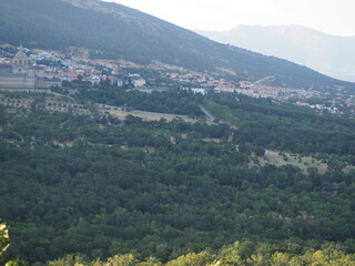 Naklejka premium OLYMPUS DIGITAL CAMERA