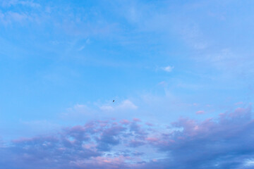 Blue sky with a pink tinge. Sky background.