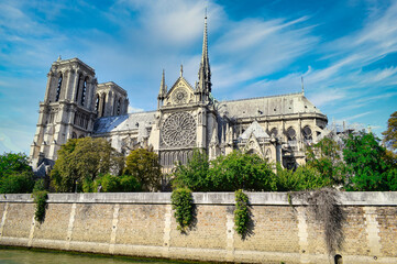 Fototapeta na wymiar Catedral de Notre Dame en Paris, Francia