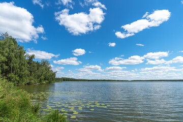Obraz na płótnie Canvas Blue lake and sky. Summer landscape.