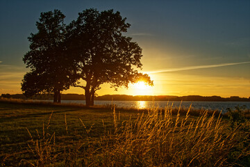 Abends an der Schlei