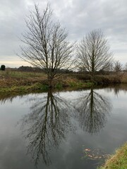 Bare trees reflected in a still lake in winter near Warrington in England