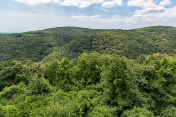 Panorama of Mount Fruska Gora in Vojvodina, Serbia.
