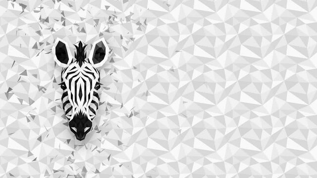 Polygonal Zebra background. Animal head. Low polygon loop animation. Geometric wildlife. Polygonal animal portrait.
