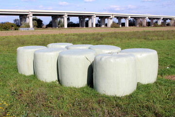 Newly made eight large hay bales wrapped in nylon protection for preservation and storage left at local field on uncut grass in front of long concrete bridge on warm sunny autumn day