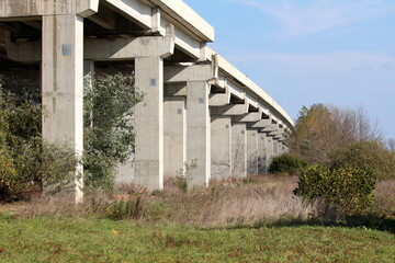 Fototapeta na wymiar Row of strong large concrete road bridge support columns surrounded with uncut grass and trees on clear blue sky background
