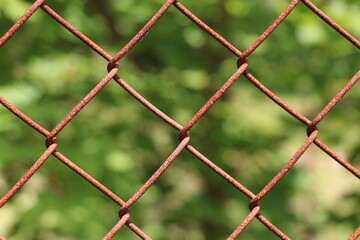 siatka ogrodzeniowa © Jaroslaw