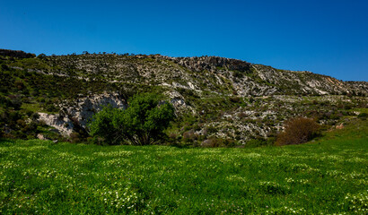 Fototapeta na wymiar Water meadows and hills on the Mediterranean coast on the island of Cyprus.