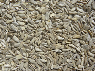 Gray color raw whole hulled Sunflower seeds
